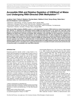 Accessible DNA and Relative Depletion of