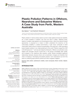 Plastic Pollution Patterns in Offshore, Nearshore and Estuarine