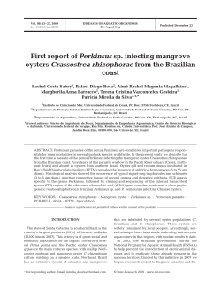 First report of Perkinsus sp. infecting mangrove oysters Crassostrea