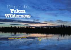 Deep in the Yukon Wilderness