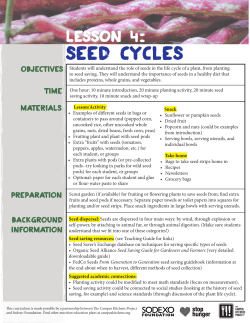 Lesson 4: Seed Cycles - The Campus Kitchens Project