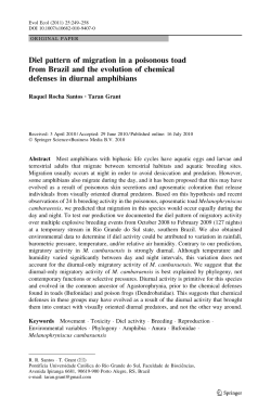 Diel pattern of migration in a poisonous toad from Brazil and the