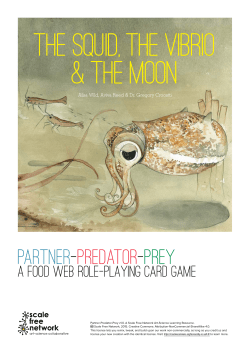 Instructions - Scale Free Network