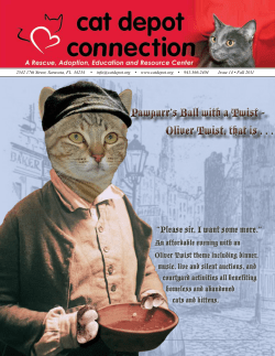 Pawpurr`s Ball with a Twist - Oliver Twist, that is . . . Pawpurr`s Ball