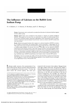 The influence of calcium on the rabbit lens sodium pump.