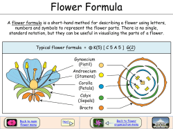 Flower Formula