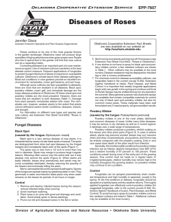 Diseases of Roses - OSU Fact Sheets