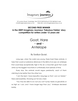 Goat, Hare Antelope - Imaginary Journeys