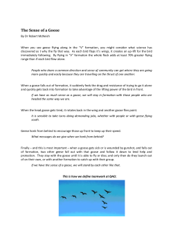 The Sense of a Goose