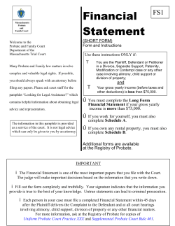 Financial Statement - Short Form