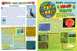 God`s Amazing Power Plants