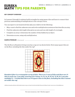 The tile floor in Brandon`s living room has a rug on it as shown