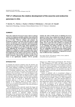 TGF-&beta;1 influences the relative development of the exocrine and