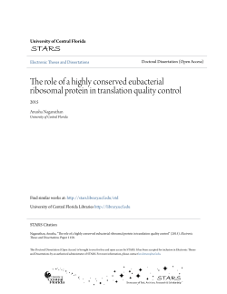 The role of a highly conserved eubacterial ribosomal