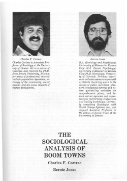 the sociological analysis of boom towns