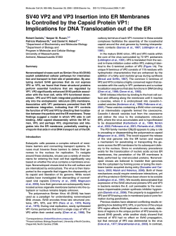 Daniels, R., N.M. Rusan, P. Wadsworth, and D.N. Hebert, SV40 VP2