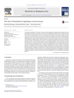 The role of interleukin-6 signaling in nervous tissue