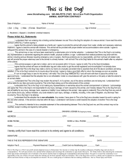 This Is The Dog Contract