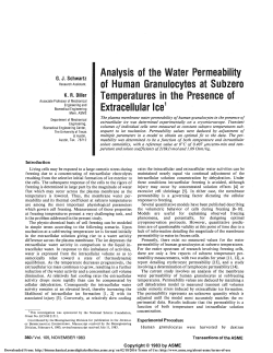 Analysis of the Water Permeability of Human Granulocytes at