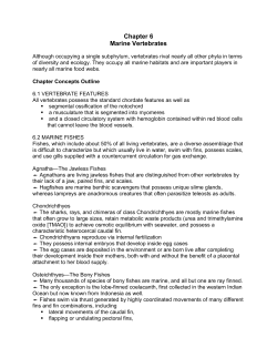 Chapter 6 - Marine Vertebrates