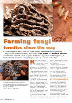 Farming fungi