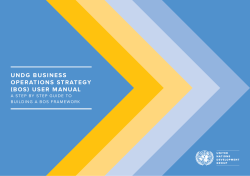 UNDG BOS Guidance 2016