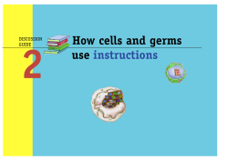 Discussion Guides for Peer Educators (Guide 2)