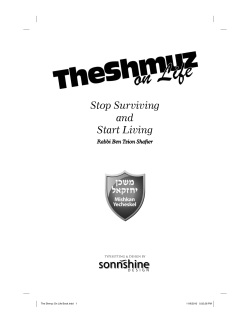 The Shmuz On Life Book.indd