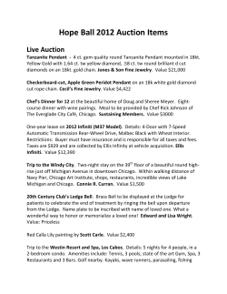 Hope Ball 2012 Auction Items