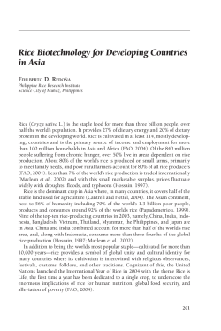 Rice Biotechnology for Developing Countries in Asia