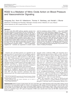 RGS2 Is a Mediator of Nitric Oxide Action on Blood Pressure and