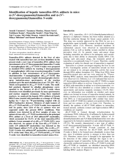 Identification of hepatic tamoxifen&ndash;DNA adducts in mice: &alpha;