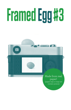 Framed Egg# 3 - Avery Edison