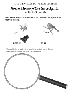 Flower Mystery Student Activity Packet