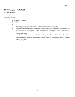 ExamView - SS study guide for Quiz 1.tst