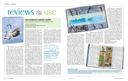 THe wOrld`s rAresT birds