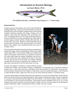 Introduction to Grunion Biology