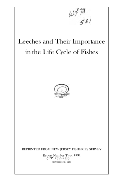 Leeches and Their Importance in the Life Cycle of Fishes