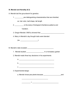 III. Mendel and Heredity (6.3) A. Mendel laid the groundwork for