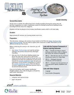 Creating a Classification System