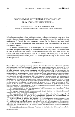 displacement of thiamine - Utrecht University Repository