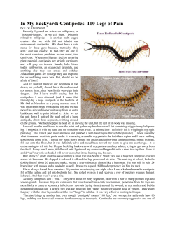 In My Backyard: Centipedes: 100 Legs of Pain