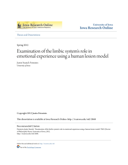 Examination of the limbic system`s role in emotional experience