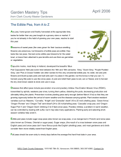 Garden Mastery Tips April 2006