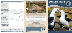 saunders island - Falkland Islands Tourist Board