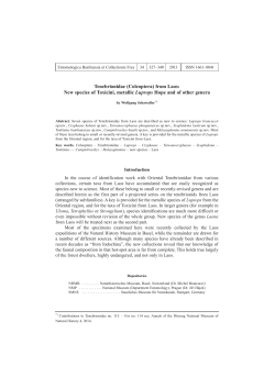 Tenebrionidae (Coleoptera) from Laos: New species of Toxicini