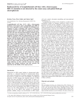 Radiosensitivity of lymphoblastoid cell lines with a heterozygous