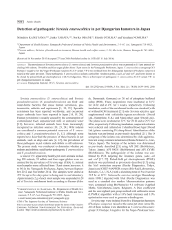 Detection of pathogenic Yersinia enterocolitica in pet Djungarian