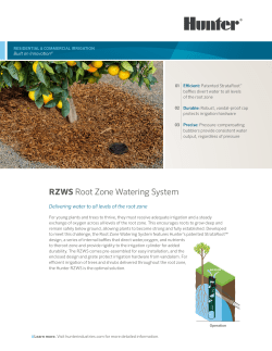 RZWS Root Zone Watering System