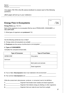 Energy Flow in Ecosystems